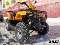 Квадроцикл IRBIS ATV 250 XE (X-MOTORS EDITION)