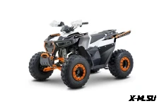 Квадроцикл FAIDET MAGOTAN 150