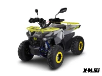 Квадроцикл Avantis Ray 8 Lux