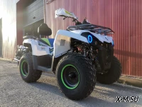 Квадроцикл PROMAX RENEGADE 280 LUX (2025)
