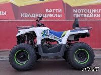 Квадроцикл PROMAX RENEGADE 280 (2025)