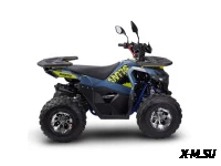 Квадроцикл Avantis Ray 8 Premium