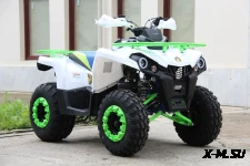 Квадроцикл Iride ROVER 200