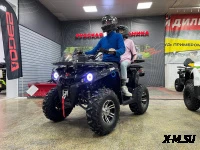 Квадроцикл PROMAX RENEGADE 300 LONG WINCH PRO