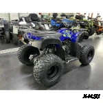 Квадроцикл IRIDE WOLF 200