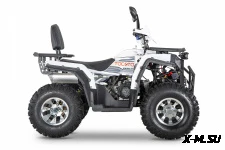 Квадроцикл YACOTA VIKING PRO