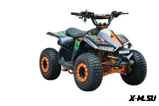 Квадроцикл WELS TUKAH 110