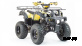 Квадроцикл MOTOLAND (МОТОЛЕНД) 250 ADVENTURE