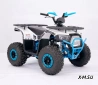 Квадроцикл  YACOTA SIRIUS 110			 			