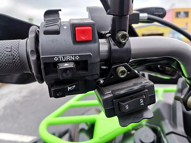 Квадроцикл PROMAX RENEGADE 300 WINCH PRO