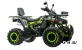 Квадроцикл MOTOLAND (МОТОЛЕНД)  VOX200 WILD TRACK X WINCH (баланс. вал)