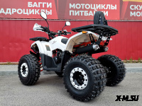 Квадроцикл PROMAX WILD 2.0 190 LUX