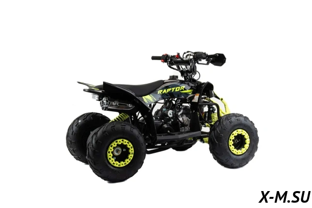 Квадроцикл MOTOLAND (МОТОЛЕНД) 110 RAPTOR A