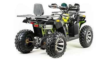 Квадроцикл PROMAX WILD 300 PRO "АНТИВИБРАЦИОННЫЙ"