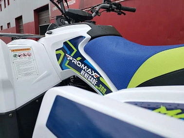 Квадроцикл PROMAX RENEGADE 300