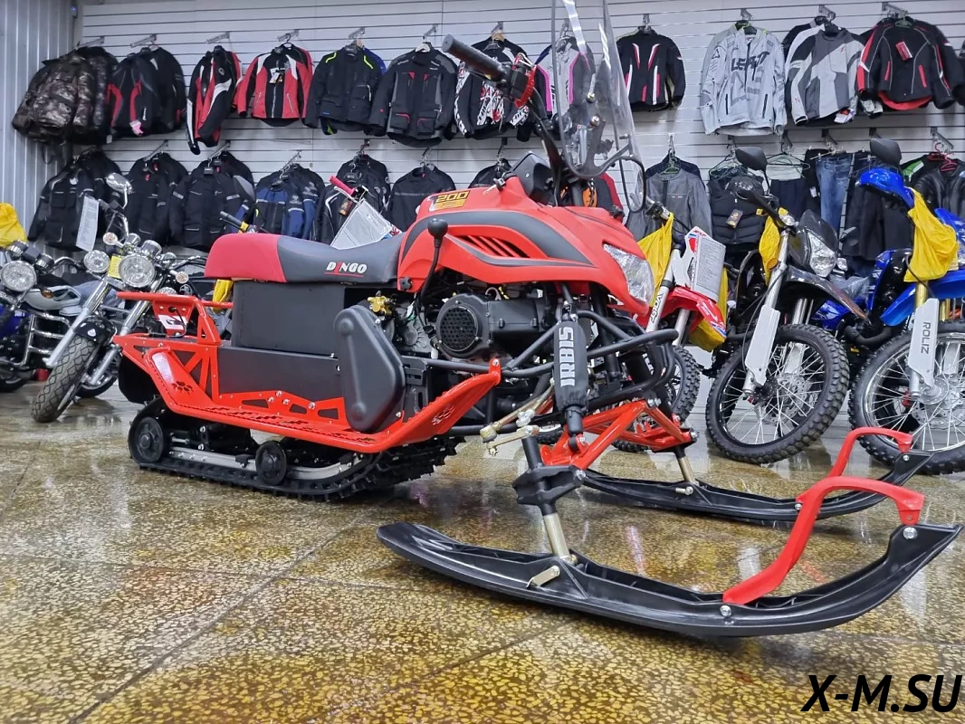 Снегоход IRBIS DINGO T200 24/25 Снегоход IRBIS DINGO T200 24/25