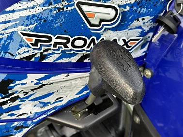 Квадроцикл PROMAX ATV 250 MAX