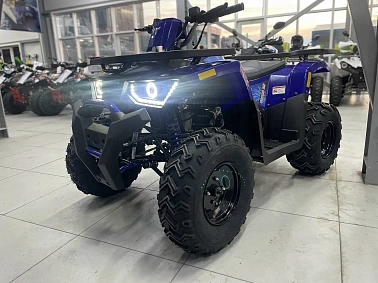 Квадроцикл PROMAX WILD 300