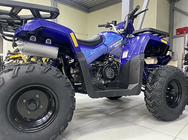 Квадроцикл PROMAX WILD 300